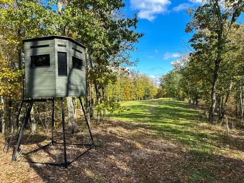 0 Ledbetter Hollow Rd, Linden, TN 37096