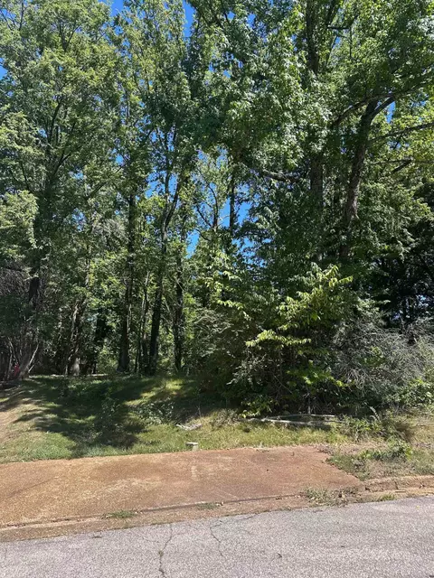8964 Apsley Pl, Cordova, TN 38016
