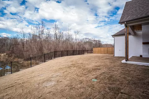 338 River Branch Dr, Collierville, TN 38017 photo 19