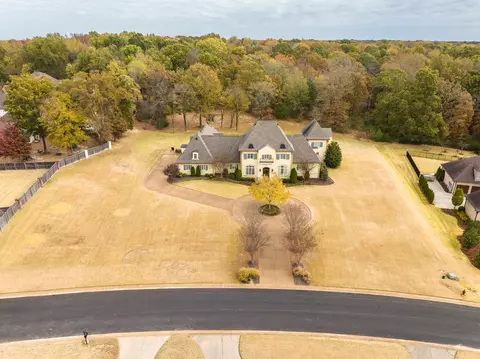 4242 Spring Pl Dr, Olive Branch, MS 38654 photo 2