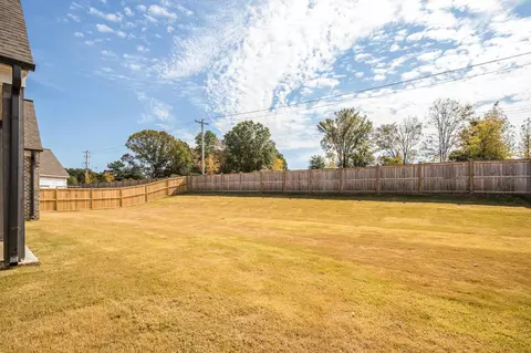10145 Nighthawk Cv, Collierville, TN 38017 photo 25
