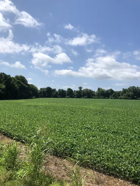 0 Duncan Rd, Manchester, TN 37355