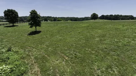 7840 W Lick Creek Rd, Primm Springs, TN 38476