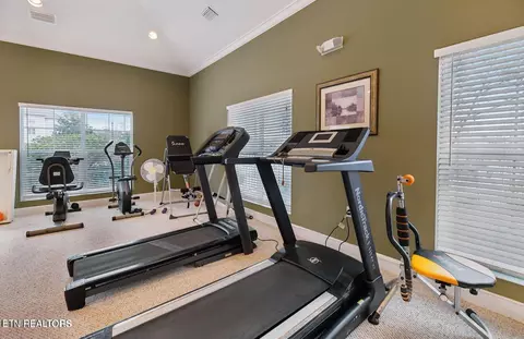 Other - 112 Sandpiper Ln, Bean Station, TN 37708 photo 9 of 10