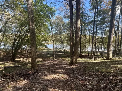 441 Mallard Dr, Dover, TN 37058