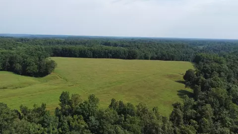 0 Neal Rd, Belvidere, TN 37306