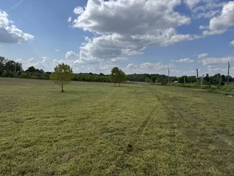 Other - 0 Chester Rd, Cedar Hill, TN 37032 photo 4 of 4