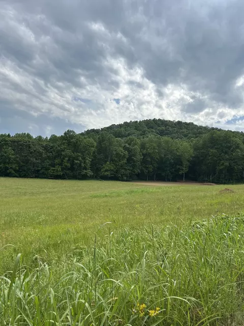 305 Hh Rd, Sparta, TN 38583
