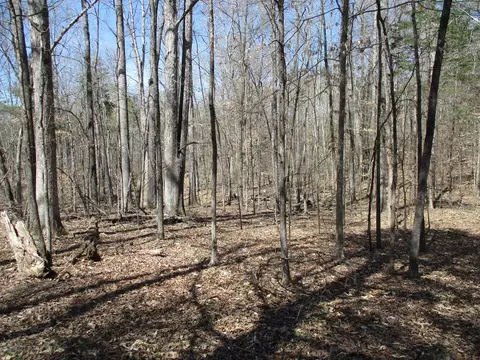 0 Wilkinstown Rd, Parsons, TN 38363