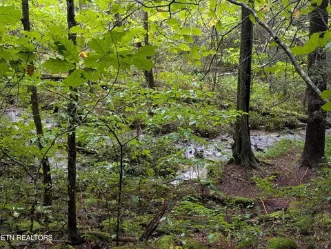 0 Catoosa Dr #LOT 27, Lancing, TN 37770