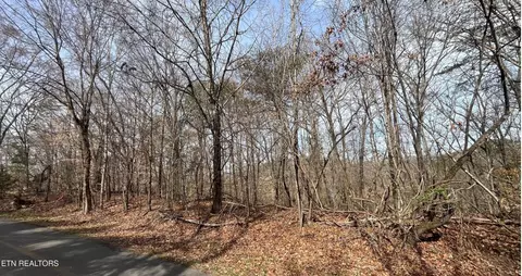 0 Mountain View Ln #1101, White Pine, TN 37890