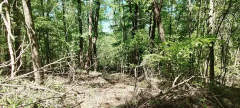 0 Coburntown Rd, South Pittsburg, TN 37380
