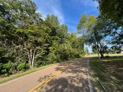 9027 Osborntown Rd, Arlington, TN 38002