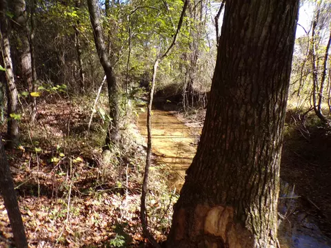 0 Rd, Glen, MS 38846 photo 7