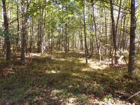 0 Rd, Glen, MS 38846 photo 9