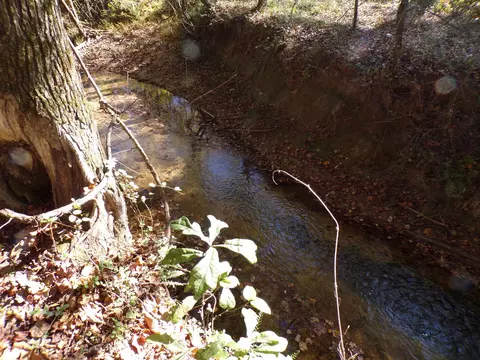0 Rd, Glen, MS 38846 photo 8