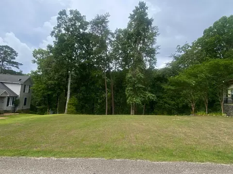0 Light Pt, Savannah, TN 38372 photo 2