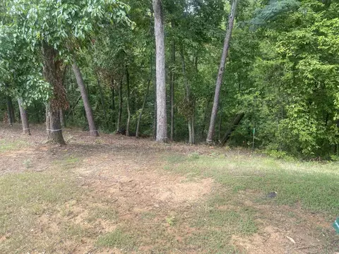 0 Light Pt, Savannah, TN 38372 photo 10