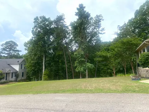 0 Light Pt, Savannah, TN 38372 photo 7
