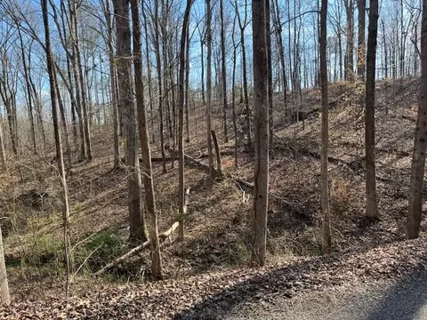 0 Springbrook Dr, Counce, TN 38326