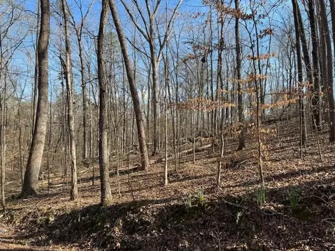 0 Springbrook Dr, Counce, TN 38326 photo 2
