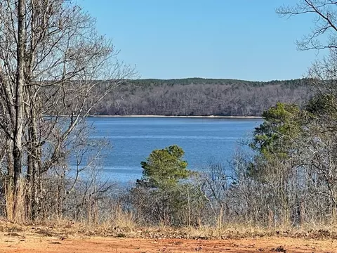 0 Island View Dr, Counce, TN 38326 photo 3