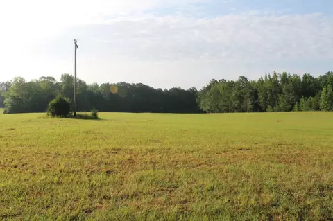 0 Lick Creek Rd, Michie, TN 38357