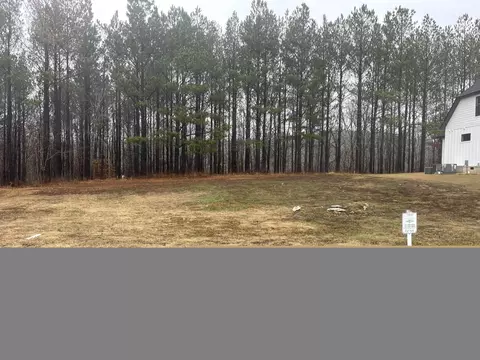 0 Destiny Way, Savannah, TN 38372