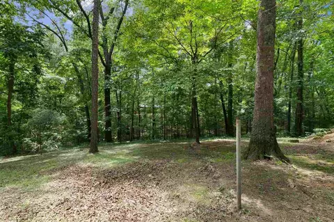 680 Ymca Ln, Counce, TN 38326 photo 16