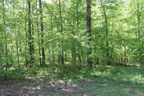 0 Hackney Ln, Counce, TN 38326 photo 3
