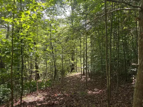 202 Deep Woods Dr, Dunlap, TN 37327