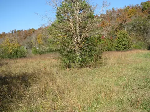 199 Spann Loop, Waverly, TN 37185