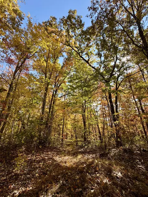 1 Robbins Rd E, Robbins, TN 37852 photo 14