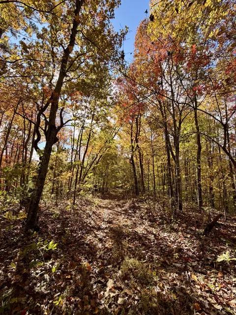1 Robbins Rd E, Robbins, TN 37852 photo 60