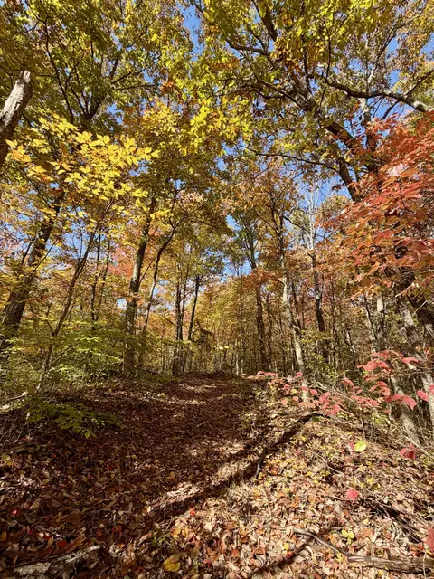 1 Robbins Rd E, Robbins, TN 37852 photo 62