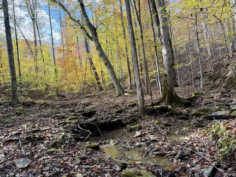 1 Robbins Rd E, Robbins, TN 37852