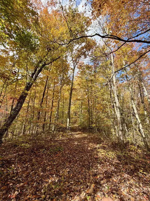 1 Robbins Rd E, Robbins, TN 37852 photo 54