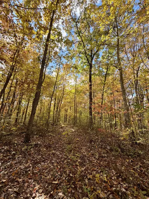 1 Robbins Rd E, Robbins, TN 37852 photo 59