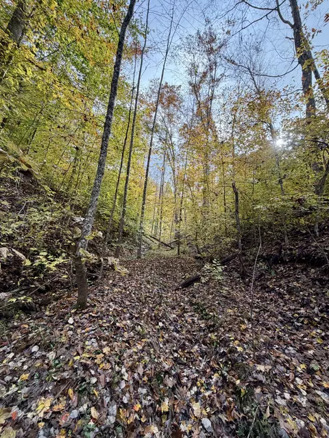 1 Robbins Rd E, Robbins, TN 37852 photo 47