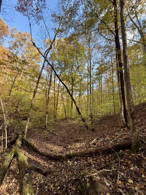 1 Robbins Rd E, Robbins, TN 37852 photo 39
