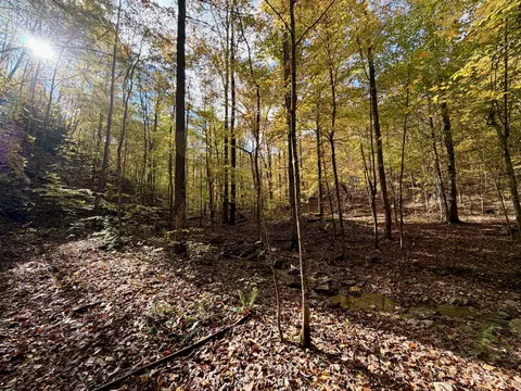 1 Robbins Rd E, Robbins, TN 37852 photo 40