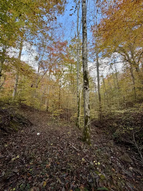 1 Robbins Rd E, Robbins, TN 37852 photo 43