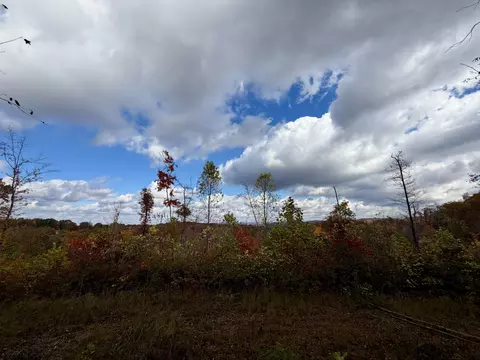 1 Robbins Rd E, Robbins, TN 37852 photo 65