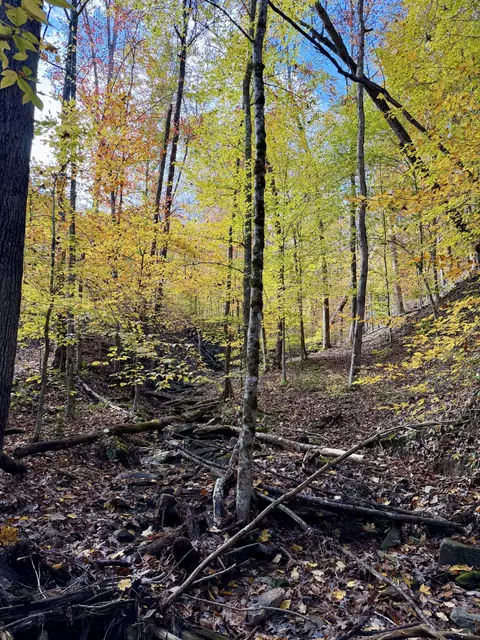 1 Robbins Rd E, Robbins, TN 37852 photo 8