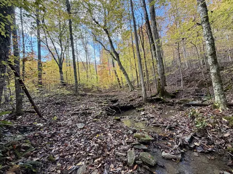 1 Robbins Rd E, Robbins, TN 37852 photo 19