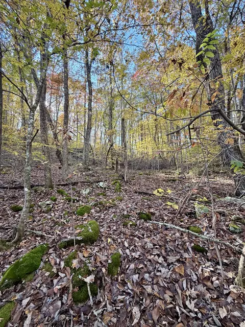 1 Robbins Rd E, Robbins, TN 37852 photo 35