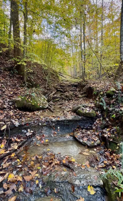 1 Robbins Rd E, Robbins, TN 37852 photo 2