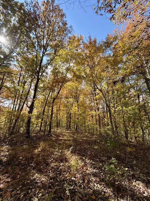 1 Robbins Rd E, Robbins, TN 37852 photo 61