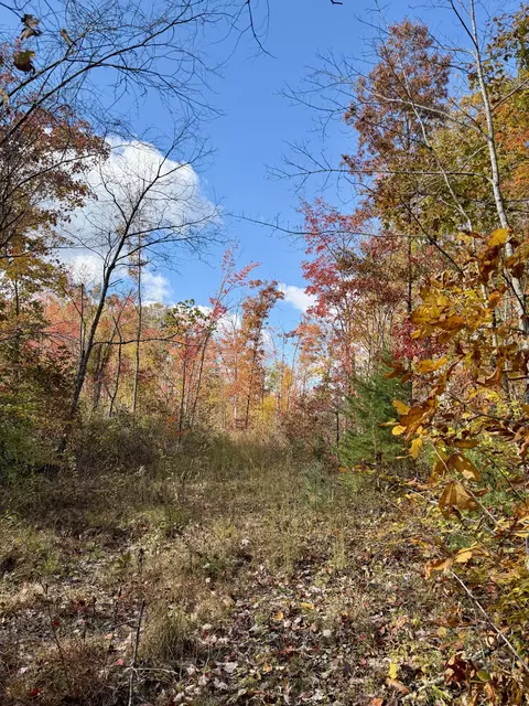 1 Robbins Rd E, Robbins, TN 37852 photo 52