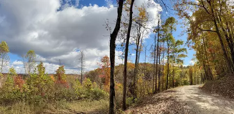 1 Robbins Rd E, Robbins, TN 37852 photo 6